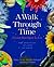 A Walk Through Time by Brian Swimme
