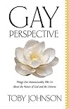 Gay Perspective: Things Our Homosexuality Tells Us About the Nature of God and the Universe