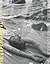 The Experimental Exercise o...