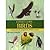 Expert Guide: Birds