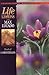Book Of 1 Corinthians (Life Lessons with Max Lucado)