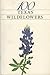 100 Texas Wildflowers