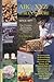 The ABC & XYZ of Bee Culture: An Encyclopedia Pertaining to the Scientific and Practical Culture of Honey Bees