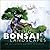 Creating Bonsai Landscapes:...