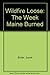 Wildfire Loose: The Week Maine Burned