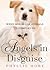 Angels in Disguise: When Go...