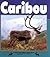 Caribou (Nature Watch)