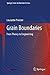 Grain Boundaries: From Theo...