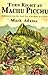 Turn Right At Machu Picchu: Rediscovering the Lost City One Step at a Time