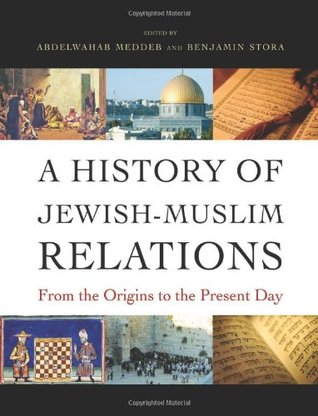 A History of Jewish-Muslim Relations: From the Origins to the Present Day (Hardcover)