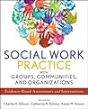 Social Work Pract...