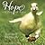 Hope Is the Thing with Feathers: Inspiration to Help Hope Fly (gift book)