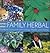 Rosemary Gladstar's Family Herbal by Rosemary Gladstar