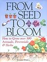 From Seed to Bloom by Eileen Powell