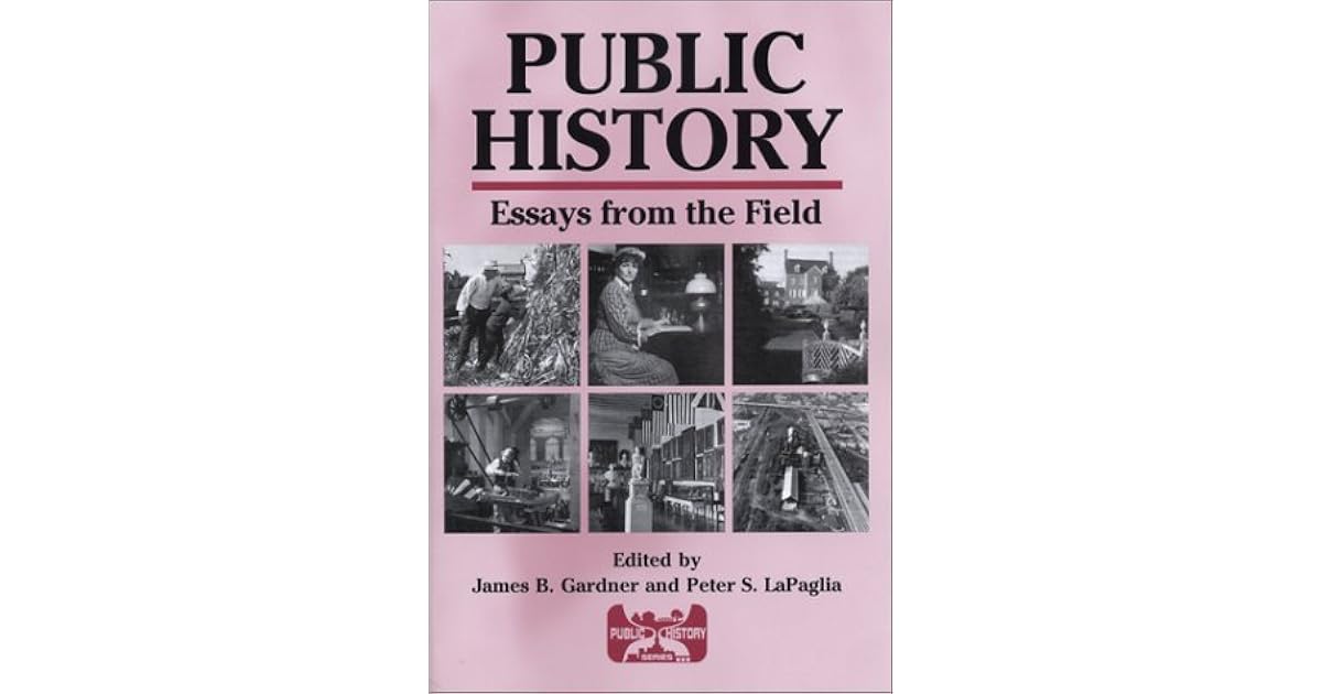 Public essay definition picture