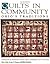 Quilts in Community: Ohio's...