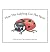 How the Ladybug Got Her Spots by Nancy J. Bell