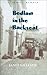 Bedlam in the Backseat by Janet L. Gillespie