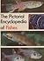 The Pictorial Encyclopedia of Fishes