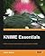KNIME Essentials