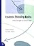 Systems Thinking Basics: Fr...