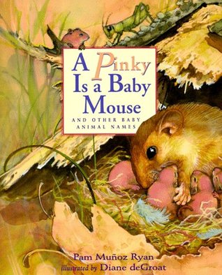 A Pinky Is A Baby Mouse And Other Baby Animal Names By Pam Munoz Ryan