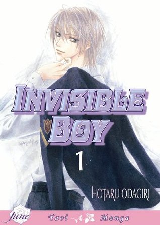 Invisible Boy, Volume 1 (Paperback)