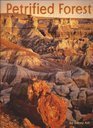 Petrified Forest: The Story Behind the Scenery (Paperback)