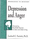 Roadblocks to Recovery Depression and Anger Workbook