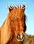 Ponies (Snapshot Picture Library)