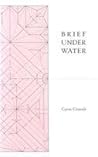 Brief Under Water