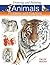 Drawing and Painting Animal...
