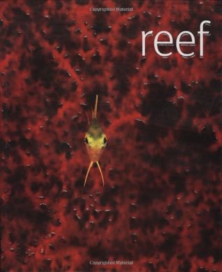 Reef (Hardcover)