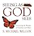 Seeing As God Sees by S. Michael Wilcox