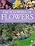 The Encyclopedia of Flowers