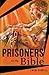 Prisoners in the Bible