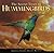 The Secret Lives of Hummingbirds by David Wentworth Lazaroff The Secret Lives of Hummingbirds by David Wentworth Lazaroff
