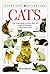Cats by David Alderton