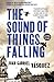 The Sound of Things Falling