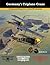 Germany's Triplane Craze: A Centennial Perspective on Great War Airplanes (Great War Aviation Centennial Series)