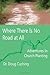 Where There Is No Road At All by Doug Cushing
