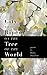 City that Ripens on the Tree of the World by Robin Davidson