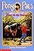 Pony to the Rescue (Pony Pa...