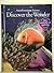 Discover the Wonder
