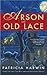 Arson and Old Lace by Patricia Harwin