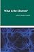 What is the Electron? by Volodimir Simulik