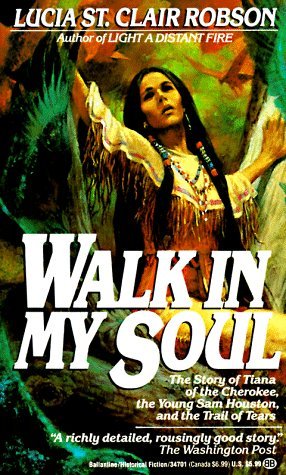 Walk in My Soul (Paperback)