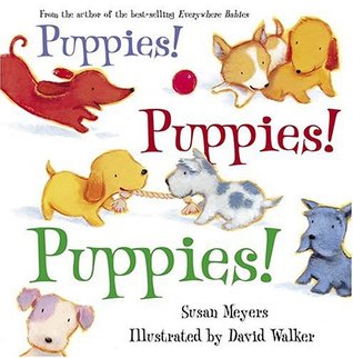 Puppies! Puppies! Puppies! (Hardcover)