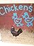 Chickens (Books for Young Learners)