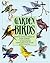 Garden Birds: How to Attrac...